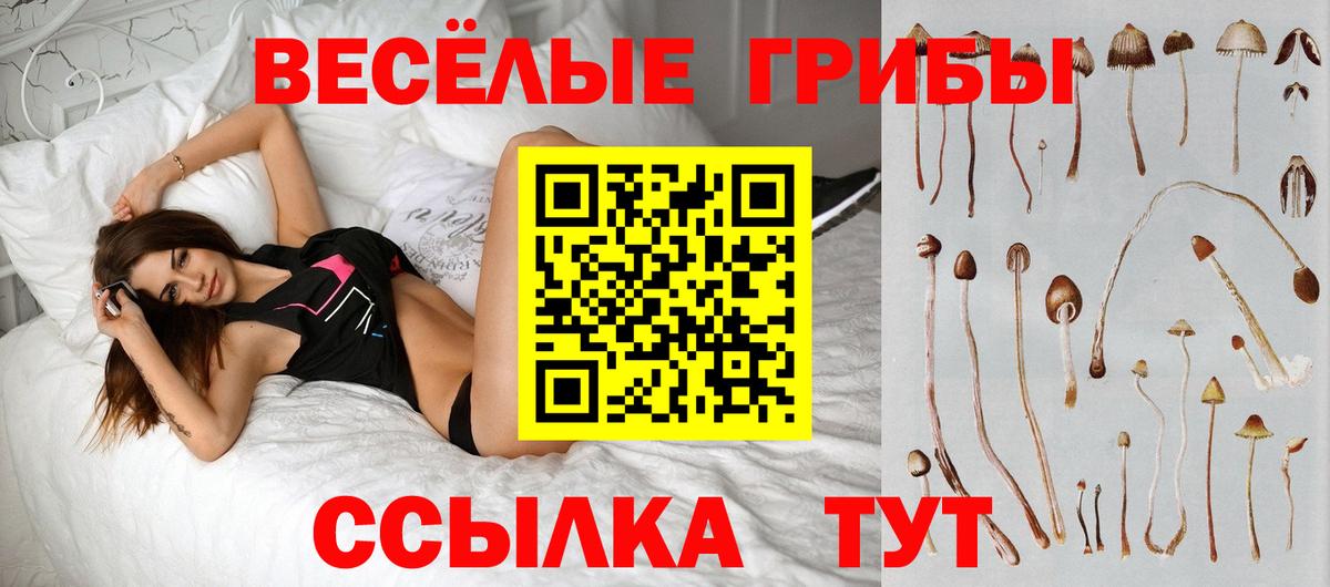 Гай  Псилоцибиновые грибы GOLDEN TEACHER  Вход с VPN 