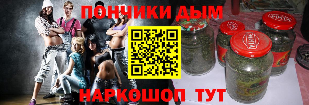 Конопля планчик Гай